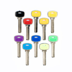 plus cabeza color anis