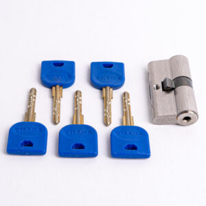 cilindro vetra 60mm ll ll 5 llaves puntos s/n 2300 (copia)